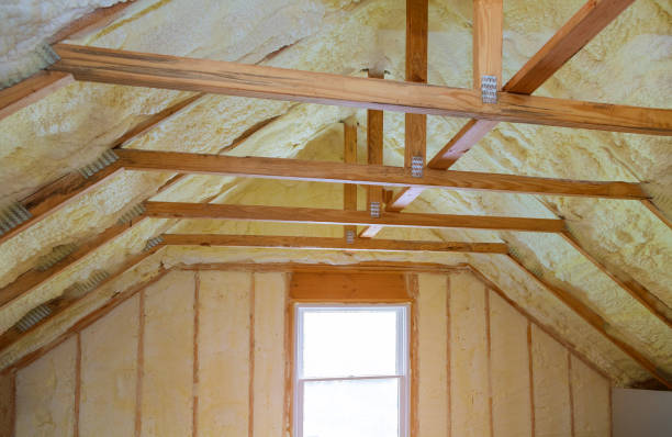 Best Insulation Inspection Services  in Loudon, TN