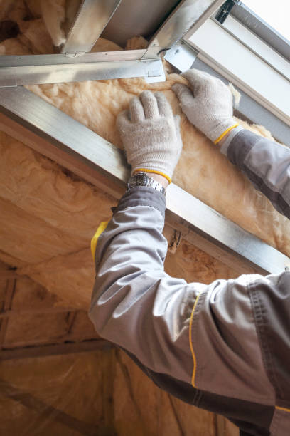 Best Spray Foam Insulation  in Loudon, TN