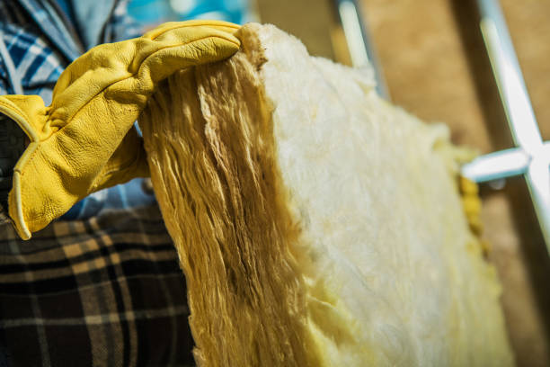 Best Affordable Insulation Services  in Loudon, TN
