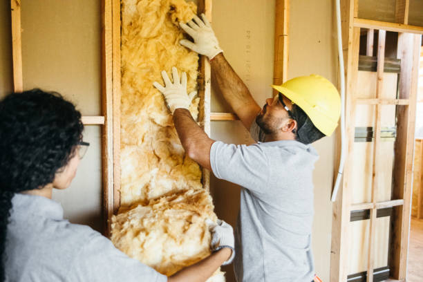 Best Local Insulation Services  in Loudon, TN