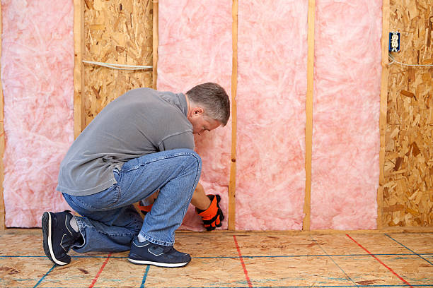 Best Insulation Contractor Near Me  in Loudon, TN