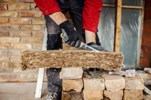Best Professional Insulation Contractor  in Loudon, TN