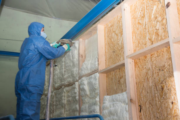 Best Affordable Insulation Services  in Loudon, TN