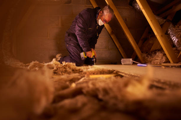 Best Cellulose Insulation  in Loudon, TN