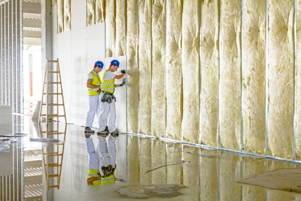 Best Insulation Contractor Near Me  in Loudon, TN